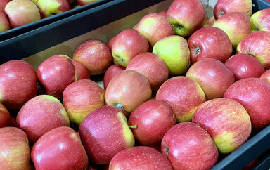 Polish apples. Why Poland became the largest apple exporter to Europe and the CIS
