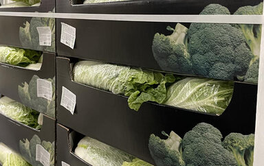 Chinese cabbage from Poland: Secret of popularity and market prospects