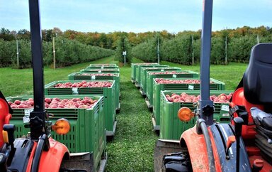 All shrunk. Natural loss rates as a tool for analyzing storage conditions and causes of inventory shortage