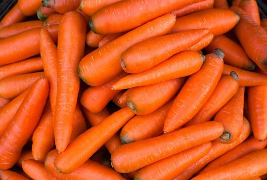 Wholesale Carrot from Frutline