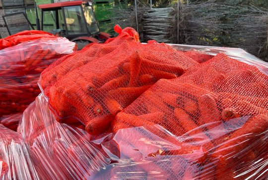 Wholesale Carrot from Frutline