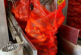 Wholesale Carrot from Frutline