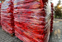 Wholesale Carrot from Frutline