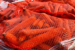 Wholesale Carrot from Frutline
