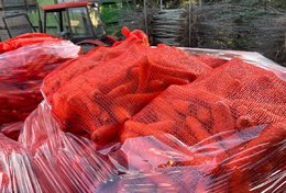 Wholesale Carrot from Frutline