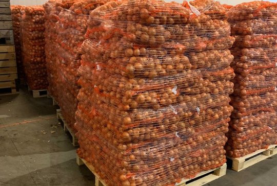 Wholesale Yellow Onion from Frutline