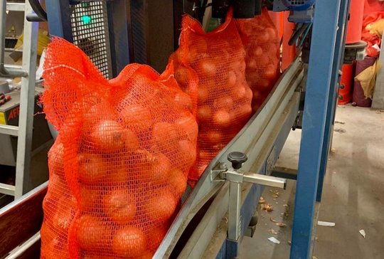 Wholesale Yellow Onion from Frutline