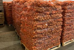 Wholesale Yellow Onion from Frutline