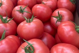 Wholesale Pink Tomatoes from Frutline
