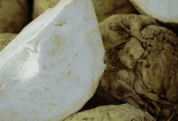 Wholesale Celery Root from Frutline